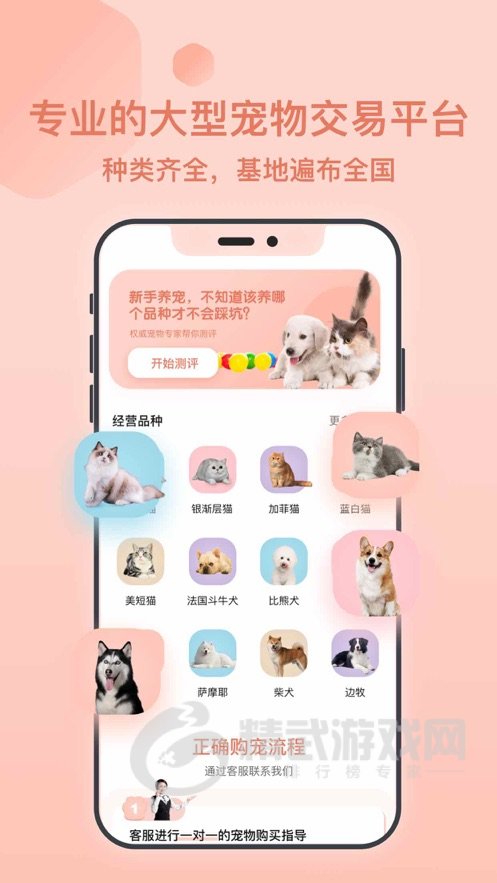 得宠宠物市场