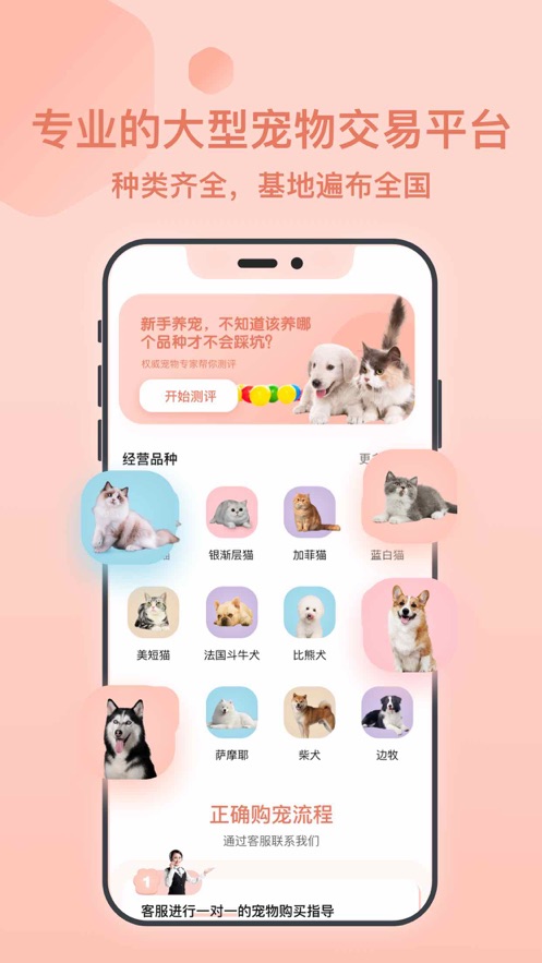 得宠宠物市场截图