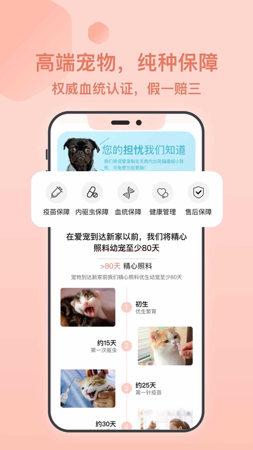 得宠宠物市场截图