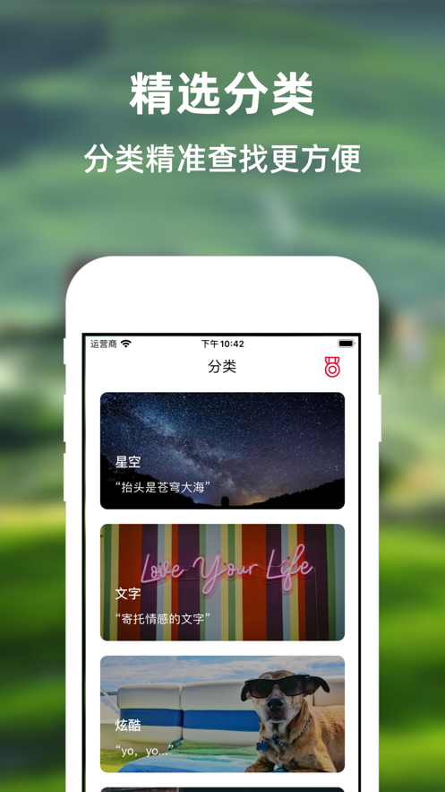 叮咚动态壁纸截图