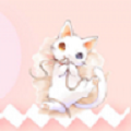 小猫交流器