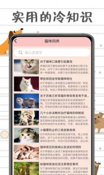 小猫交流器截图
