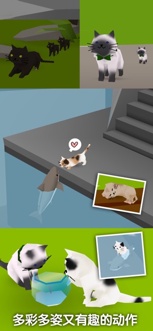 猫猫与鲨鱼
