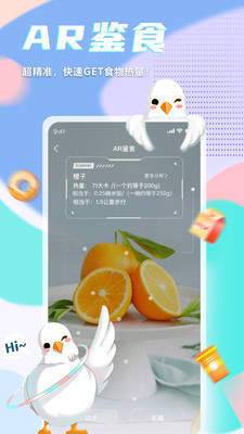 呼啦鸽截图