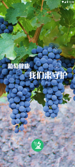 葡萄医生截图