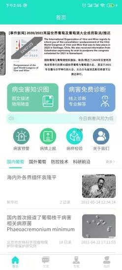 葡萄医生截图
