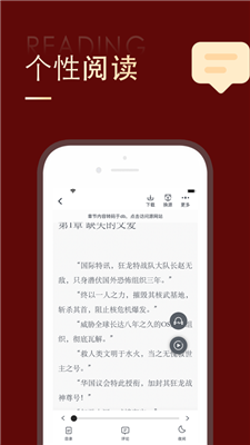 追书大师