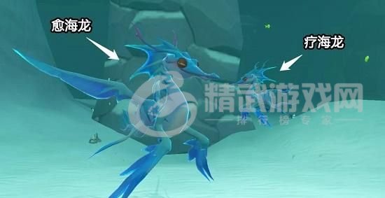 创造与魔法疗海龙饲料怎么做？疗海龙饲料配方制作方法[多图]图片2