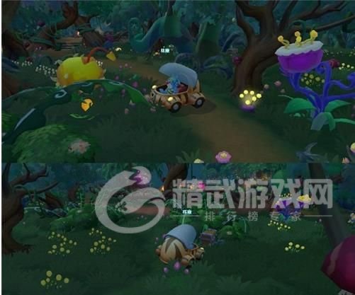 摩尔庄园黑森林宝箱在哪？黑森林宝箱位置分布图一览[多图]图片2