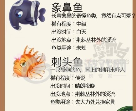 摩尔庄园黑森林钓鱼位置大全：刺头鱼/象鼻鱼/弹簧鱼位置和刷新时间一览[多图]图片2