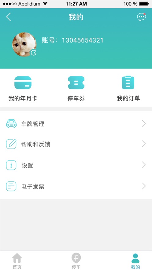 金开停车截图