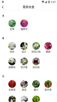 即有花截图
