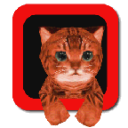超真实的猫模拟器
