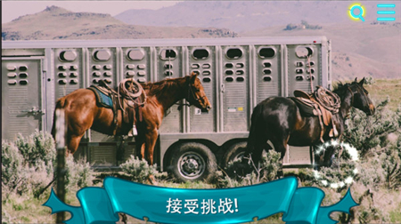 寻找猫2截图
