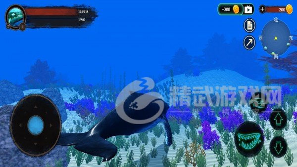 海洋动物世界
