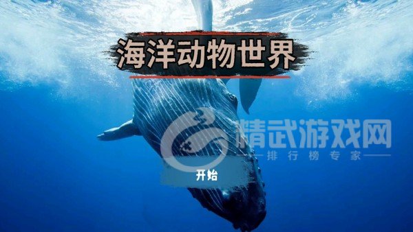 海洋动物世界