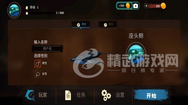 海洋动物世界