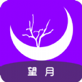 望月交友
