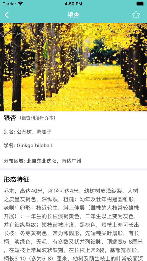 知树截图
