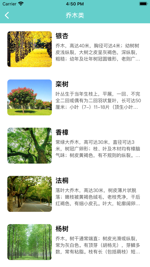知树截图
