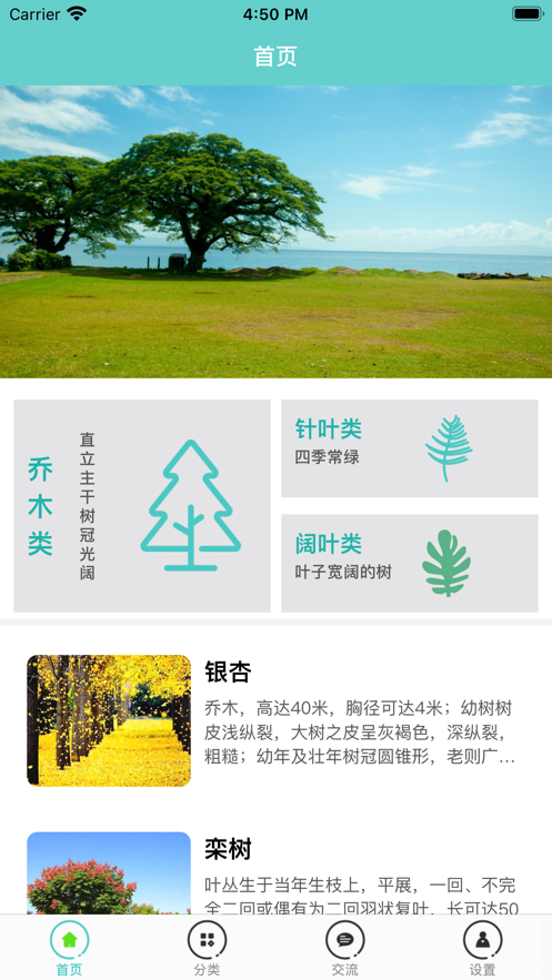 知树截图