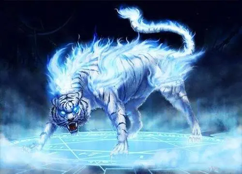 口袋妖怪暗兽神