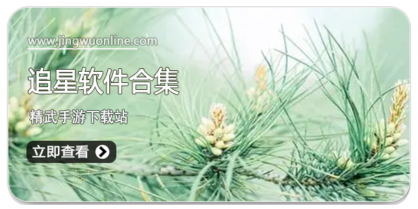 追星