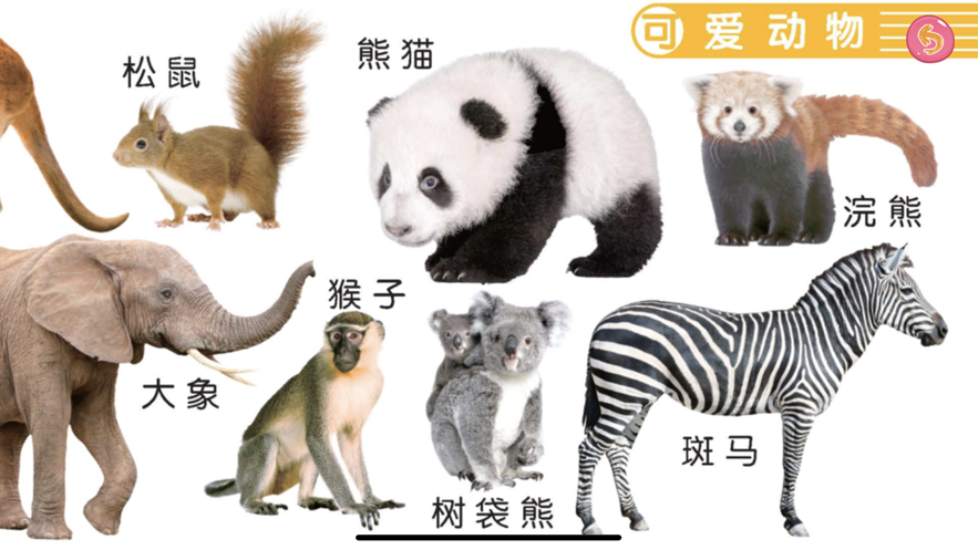 萌萌魔法动物园截图