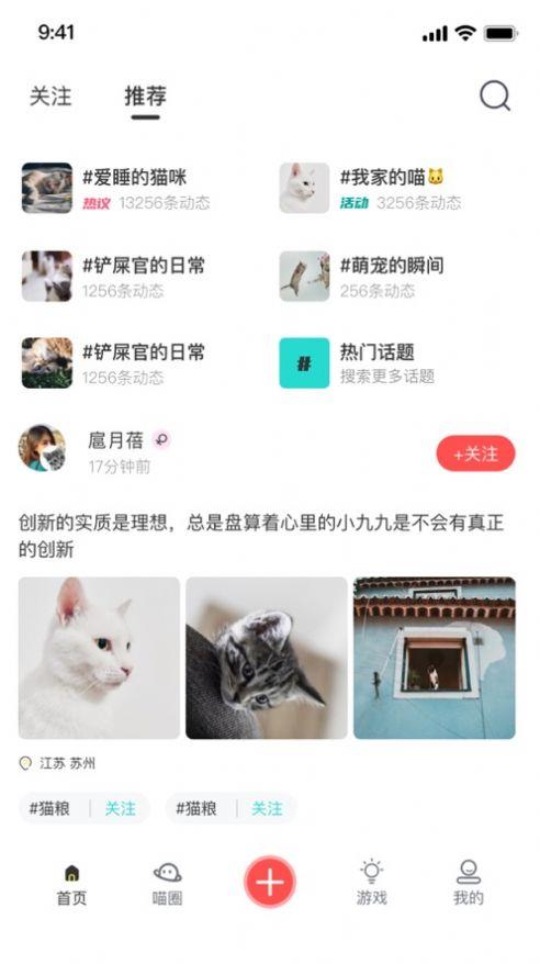 宠布丁截图