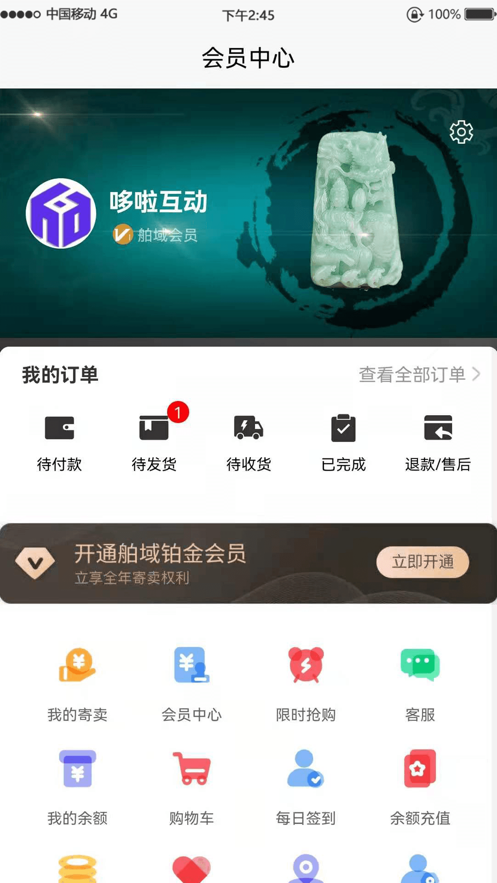 舶域翡翠截图