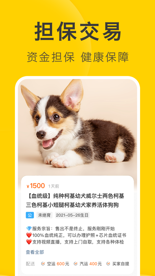 买只宠物截图