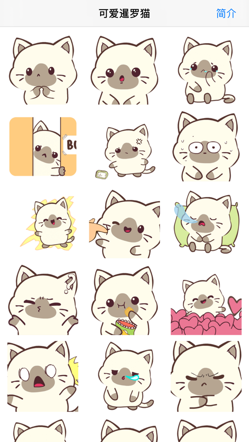 可爱暹罗猫截图