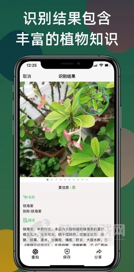 植缕之