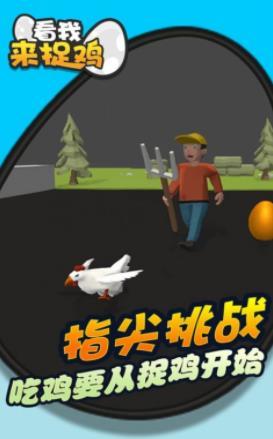 看我来捉鸡