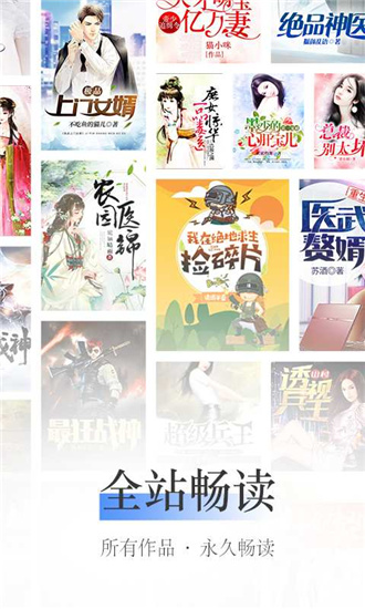 龙眼小说截图
