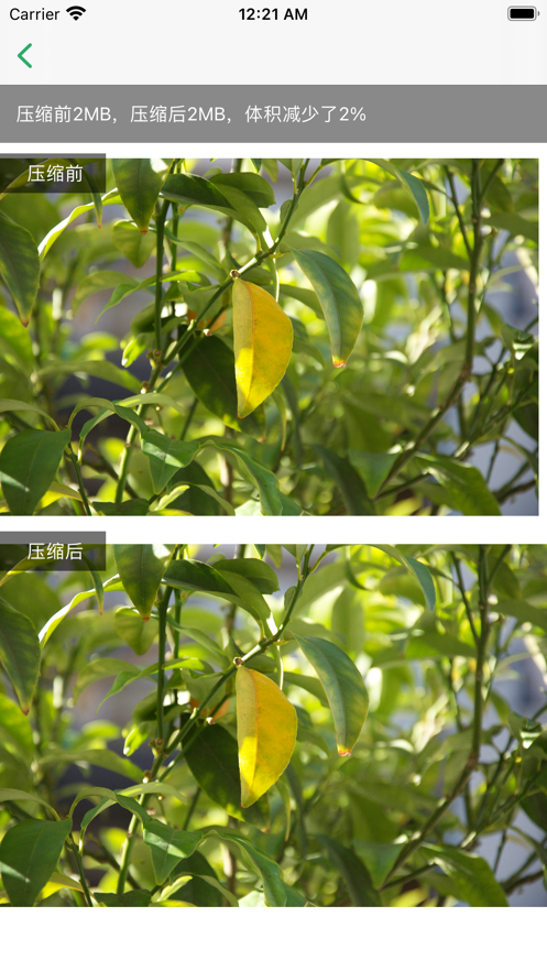 手机清理专家截图