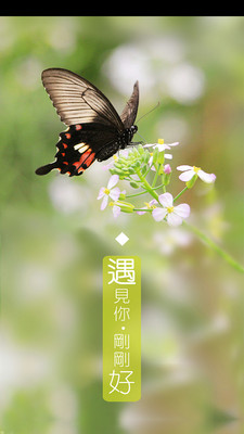 遇见你兮截图