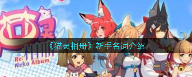 猫灵相册新手名词 猫灵相册新手名词介绍