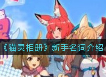 猫灵相册新手名词 猫灵相册新手名词介绍