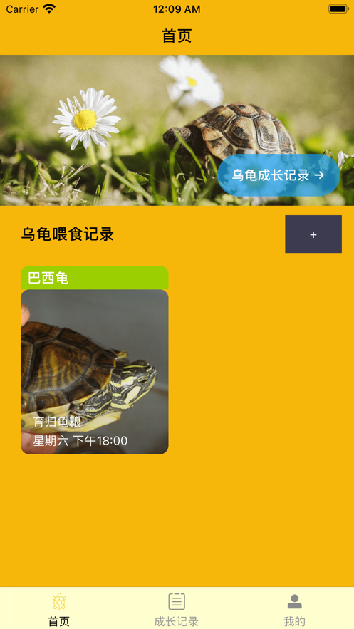 养龟一记截图