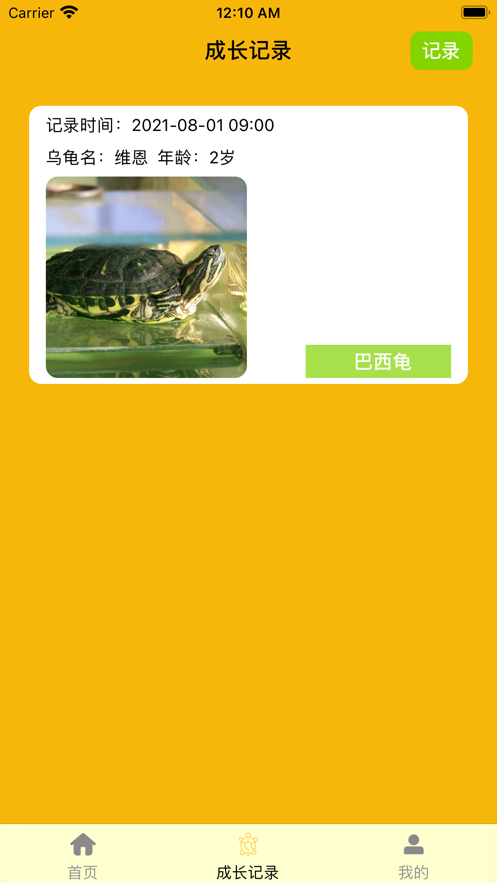 养龟一记截图