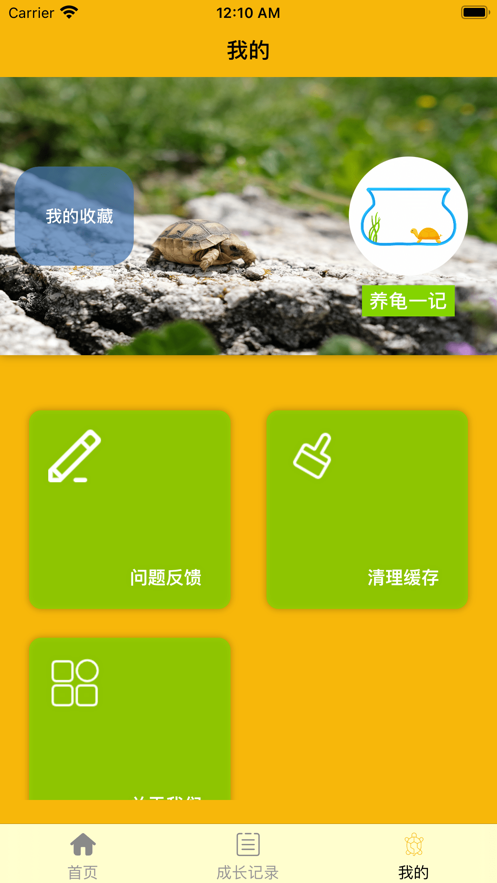 养龟一记截图
