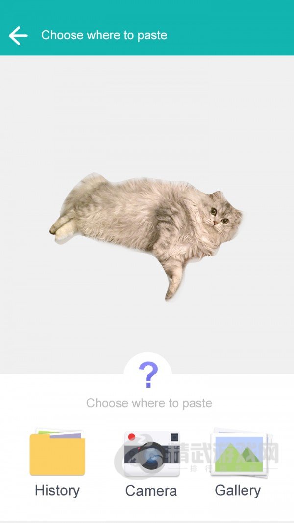 抠图神器飞力猫