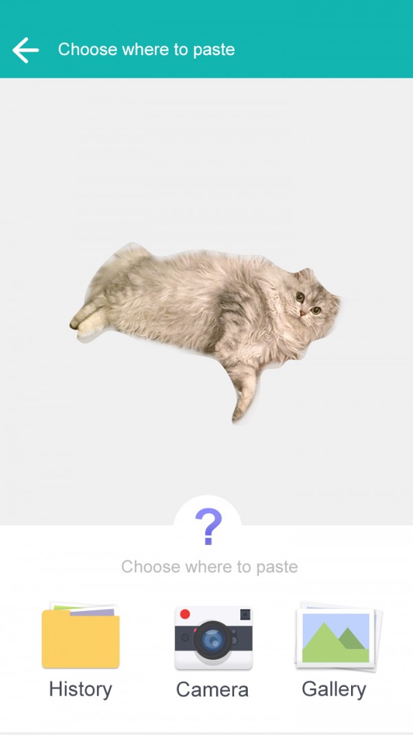 抠图神器飞力猫截图