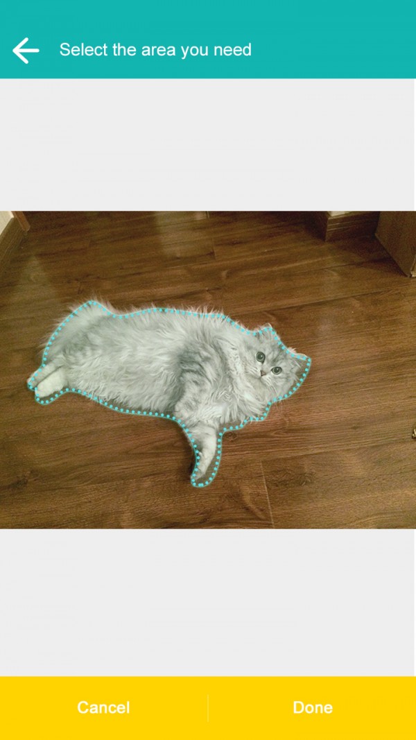 抠图神器飞力猫截图