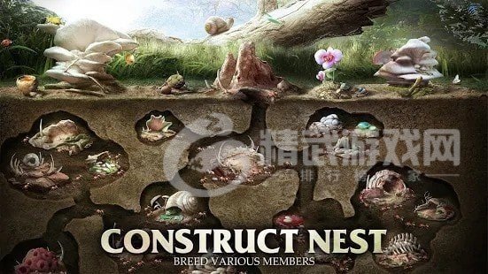 蚂蚁军团为了虫群