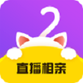喵呜相亲