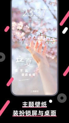 桔子壁纸截图