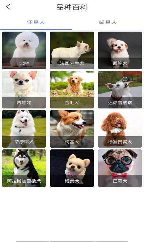 优宠快报截图