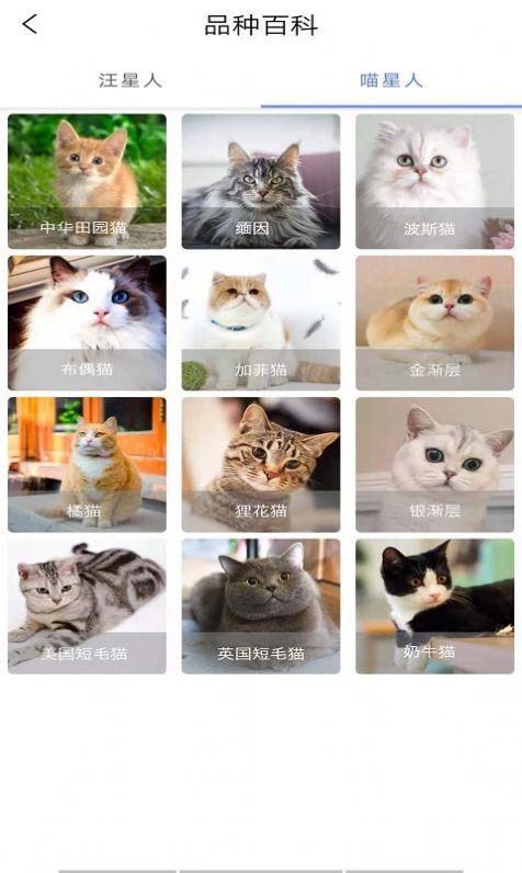 优宠快报截图